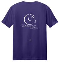 EMPYREAN STABLES YOUTH & ADULT SOFTSTYLE T-SHIRT