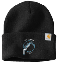 C10 EXTERIORS CARHARTT WATCH CAP 2.0