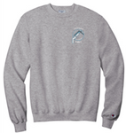 C10 EXTERIORS CHAMPION POWERBLEND CREWNECK SWEATSHIRT