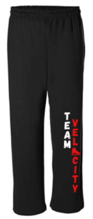 BMVFSC TEAM VELOCITY UNISEX HEAVY BLEND SWEATPANTS