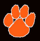 HELMET STICKER