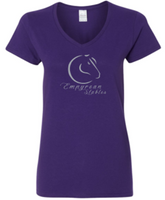 EMPYREAN STABLES LADIES V-NECK T-SHIRT