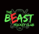 BEAST HOCKEY ADULT PERFORMANCE HOODED SWEATSHIRT-SHADOW LOGO