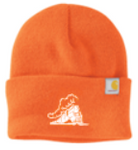 THOMAS PETERSEN CARHARTT WATCH CAP 2.0