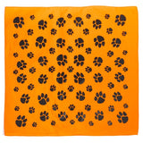 BANDANA