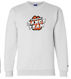 FTDT CHAMPION DOUBLE DRY ECOFLEECE CREWNECK SWEATSHIRT