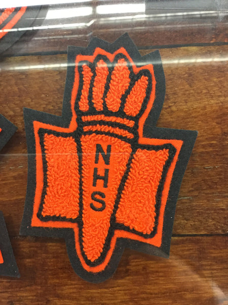 CHENILLE NHS TORCH PATCH